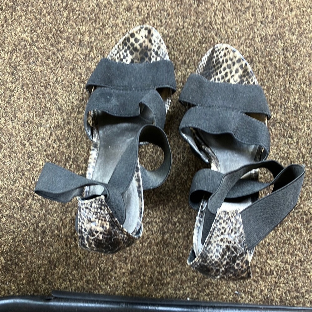 Exotica Sharp Black/Snake Skin Wedged Heel Shoes